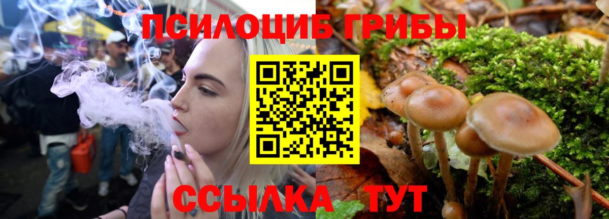 Ревда  Псилоцибиновые грибы прущие грибы  Вход с VPN 